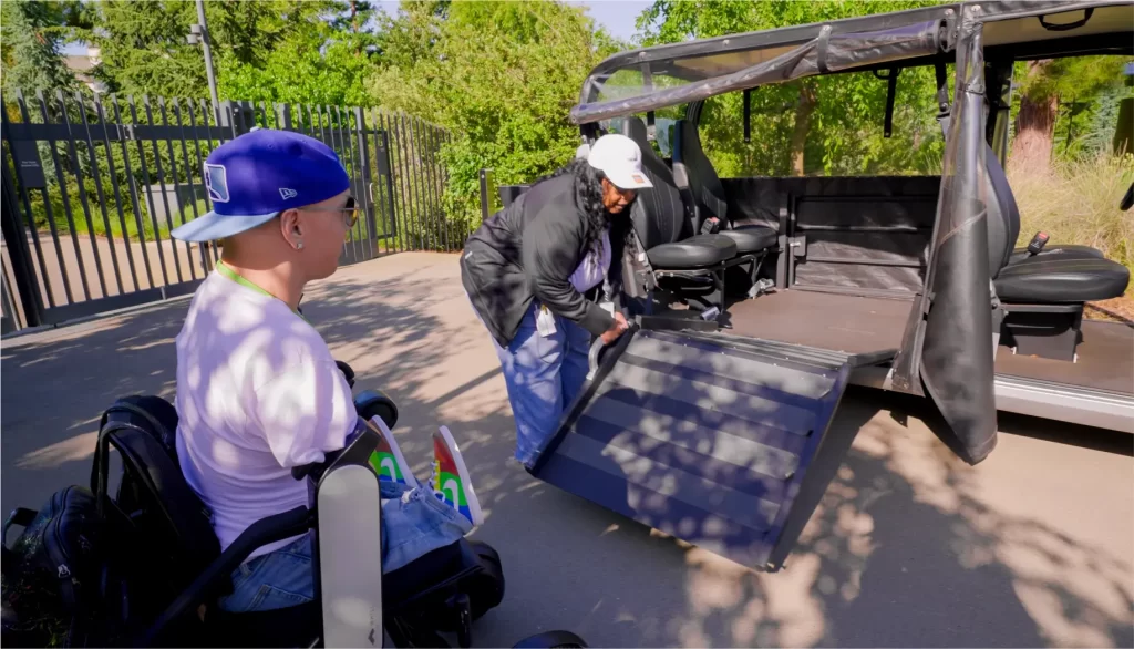 wheelchair accessible golf cart